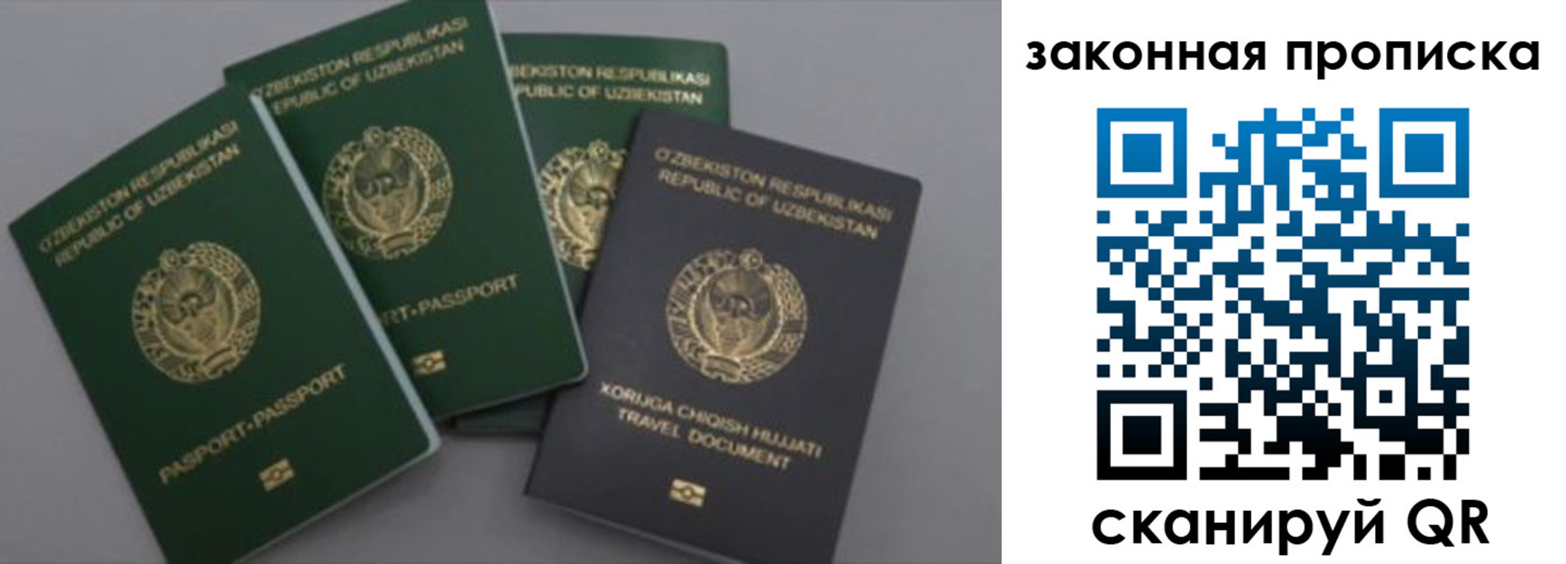 прописка законно в Владимирской области